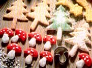 Paddestoelen en denneboompjes
