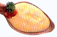 Kerriesaus 2