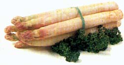 Asperges bewaren