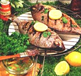 Geroosterde goudbrasem met koriandersaus