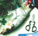 Zeebaars in grof zout